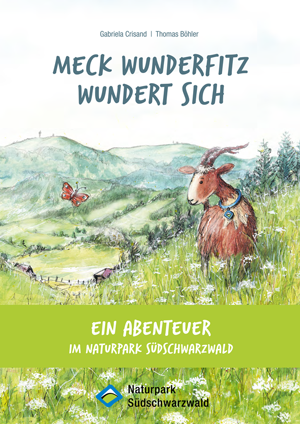 MeckWunderfitz-Buchcover