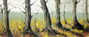 Wald_Ausblick
