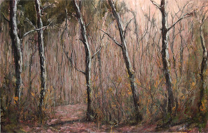 Wald_Einblick
