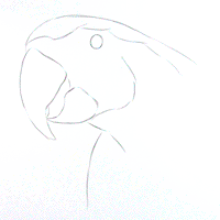 Tutorial-Animiert